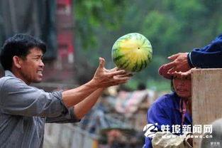 瓜农请环卫吃瓜,共享甜蜜，传递城市温情