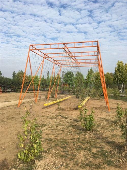 网红鞦千,揭秘网络红人的崛起之路