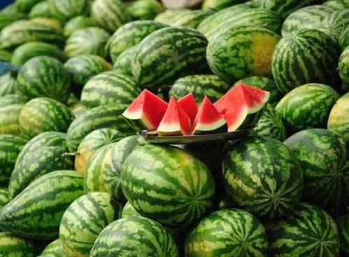 大理网红西瓜视频直播,带你领略古城魅力