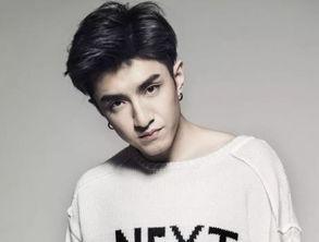 明星Ghy背景,从平凡走向璀璨的星途历程