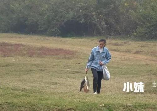 壮乡小莫 头条,探寻民族风情，展现头条魅力