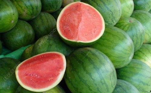 咳嗽可吃梨瓜,止咳润肺，天然食疗佳品