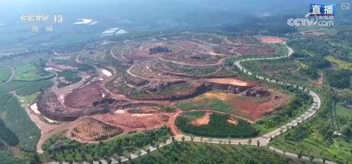 杭州石坝新闻头条,揭秘背后真相