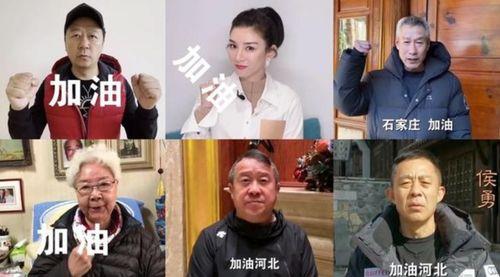 哪些明星给河北捐款,河北捐款行动中的明星力量”