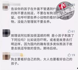 头条号内容侵权责任承担,法律解读与案例分析