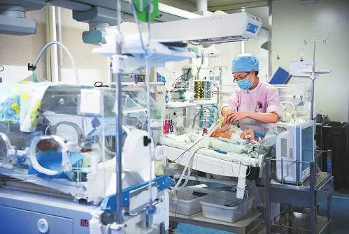 网络与新媒体网红,网红现象解析与未来趋势展望