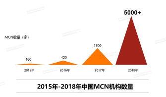 mcn公司网红维护,MCN公司网红维护策略全解析