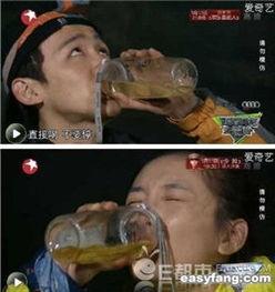 喝尿明星小说,揭秘明星的神秘饮品