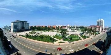 东丽区新市镇新闻头条