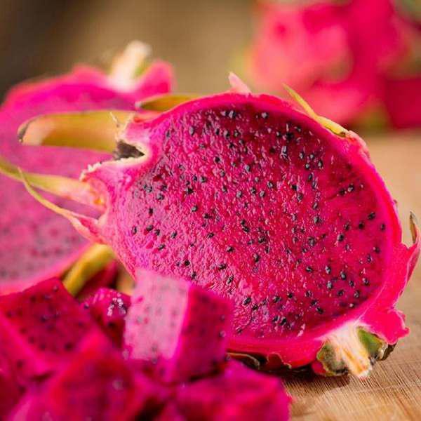 呆瓜吃火龙果,呆瓜的火龙果奇遇记