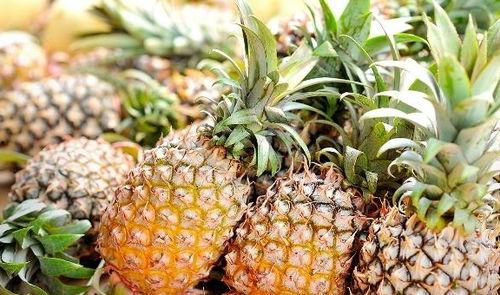 娱乐吃瓜小菠萝视频大全,盘点热门视频大全